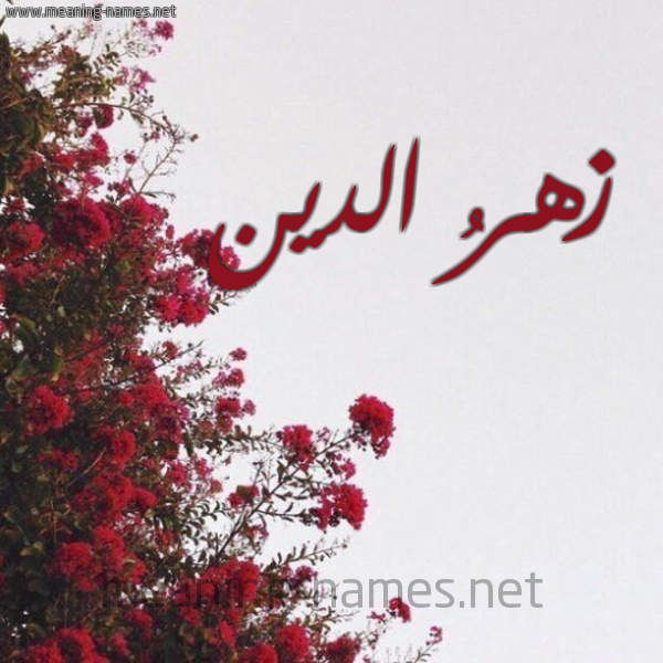 شكل 18 صوره الورد الأحمر للإسم بخط رقعة صورة اسم زهرُ الدين ZHRO-ALDIN